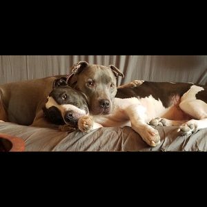 Meet your Posher, Metidith